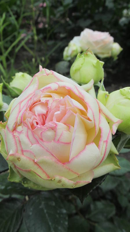 059