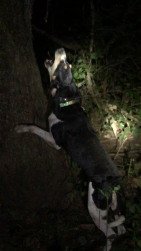 D2B856F2-9FB9-4941-8B27-57FFFB73B2B6