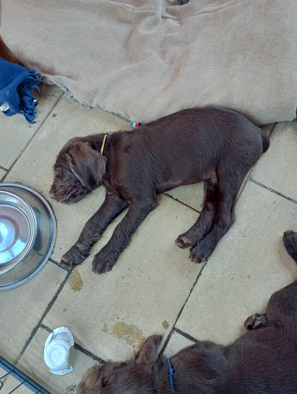 IMG_20250706_154244_HDR