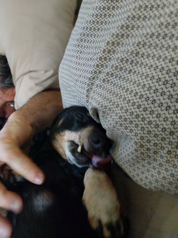 [Image: IMG-20250511-090741.jpg]