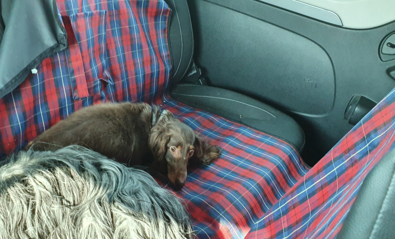 [Image: 8-EEDBA35-4-EB2-47-B4-9-AAC-F92978-D299-B5.jpg]