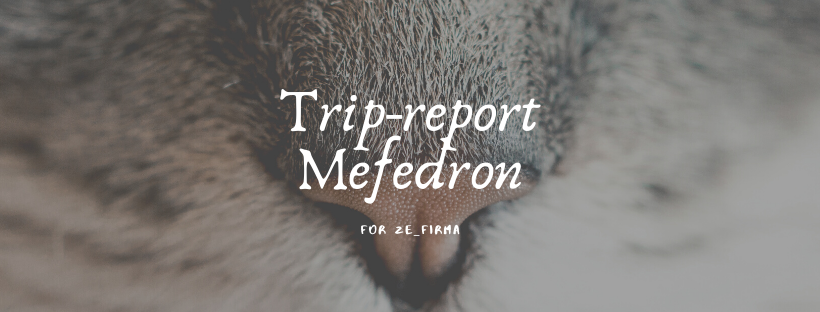 Trip-report-Mefedron.png