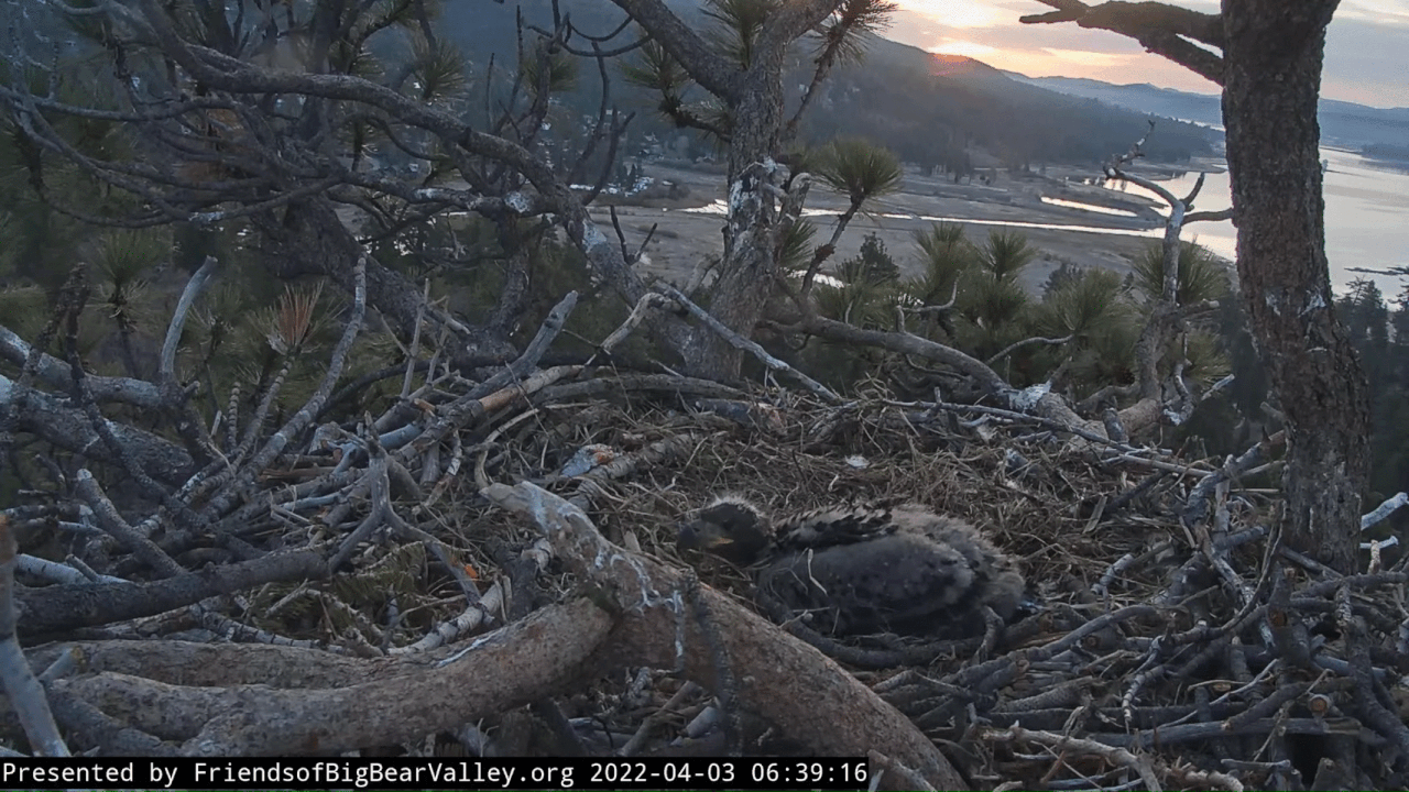 Webp.net-gifmaker (2)