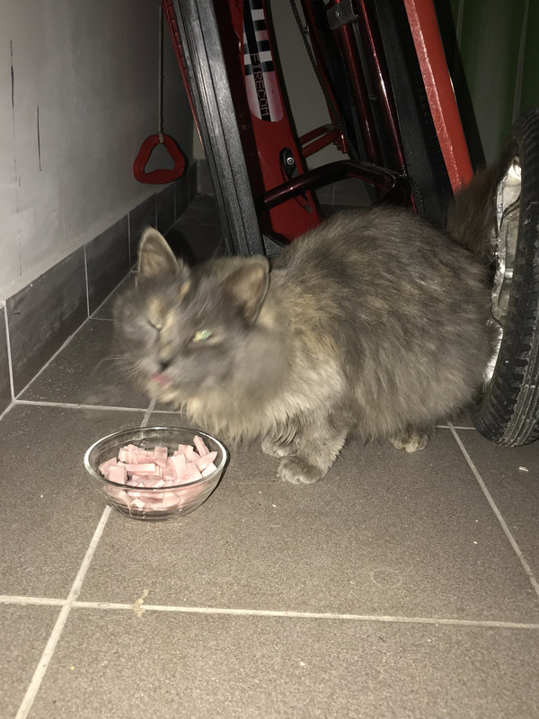 F45ACEFE-C9EC-4794-87EC-FEEFEAC9AB91