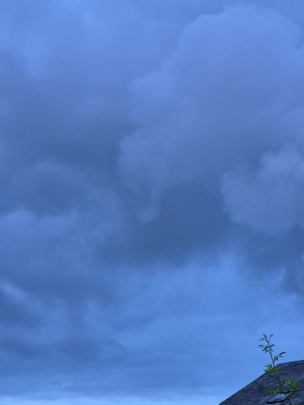 20240726-213039.jpg