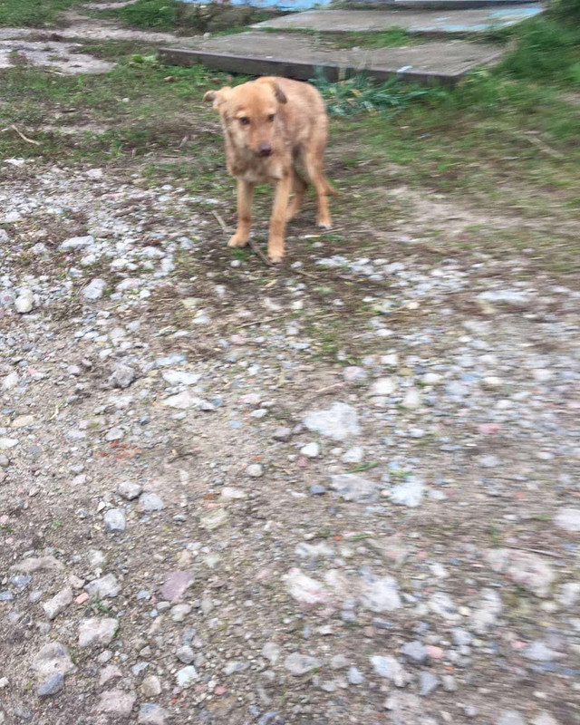 IMG-5c538de85e65d20f8119af91d61e4a33-V