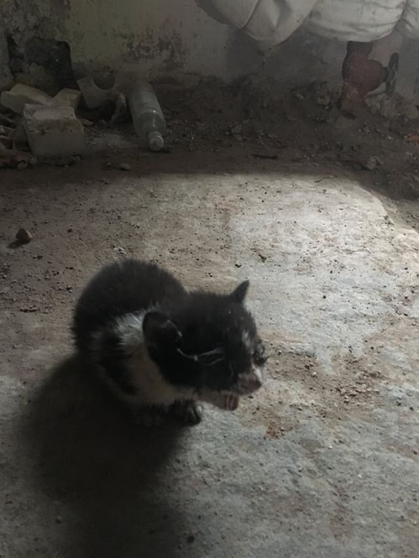 610ECEB4-ADD6-42A5-B4D9-D3E59DC8F295