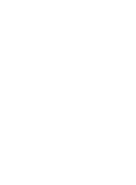 Profitec Pro 300 Off
