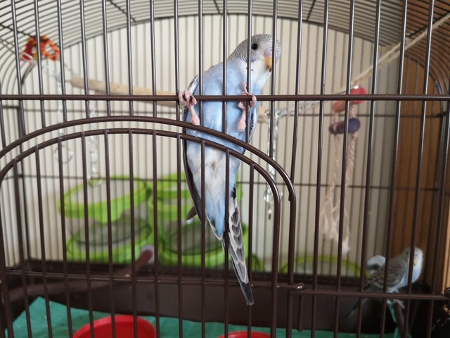 [Image: IMG-20200927-110842-resized-20200930-065809263.jpg]