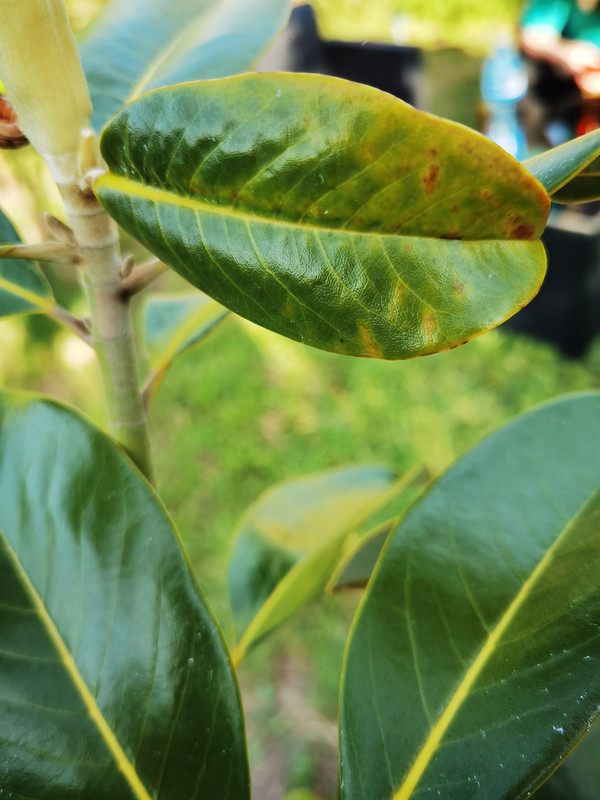 IMG_20230502_182341