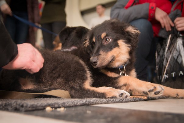 5AAB11B2-E2D2-4A3B-B669-D5368DAF748C