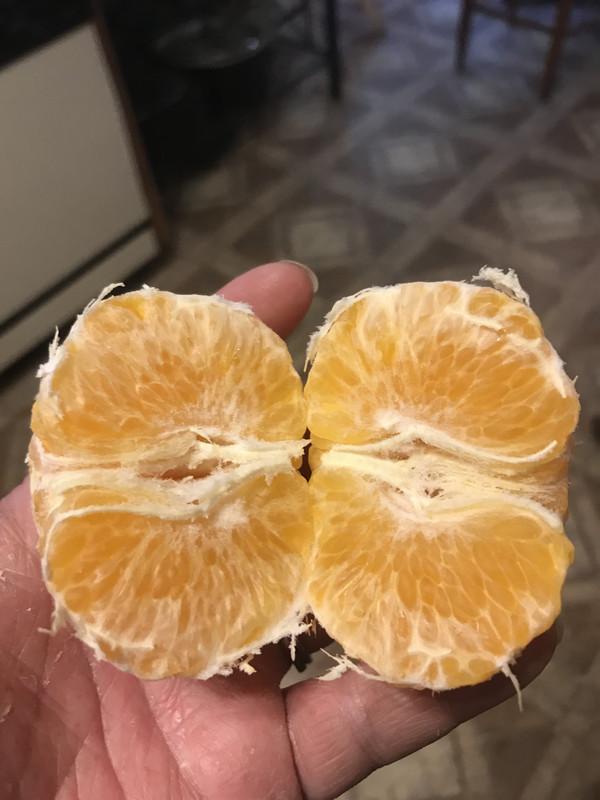 4634250B-3660-4503-8331-F82ED996BD05