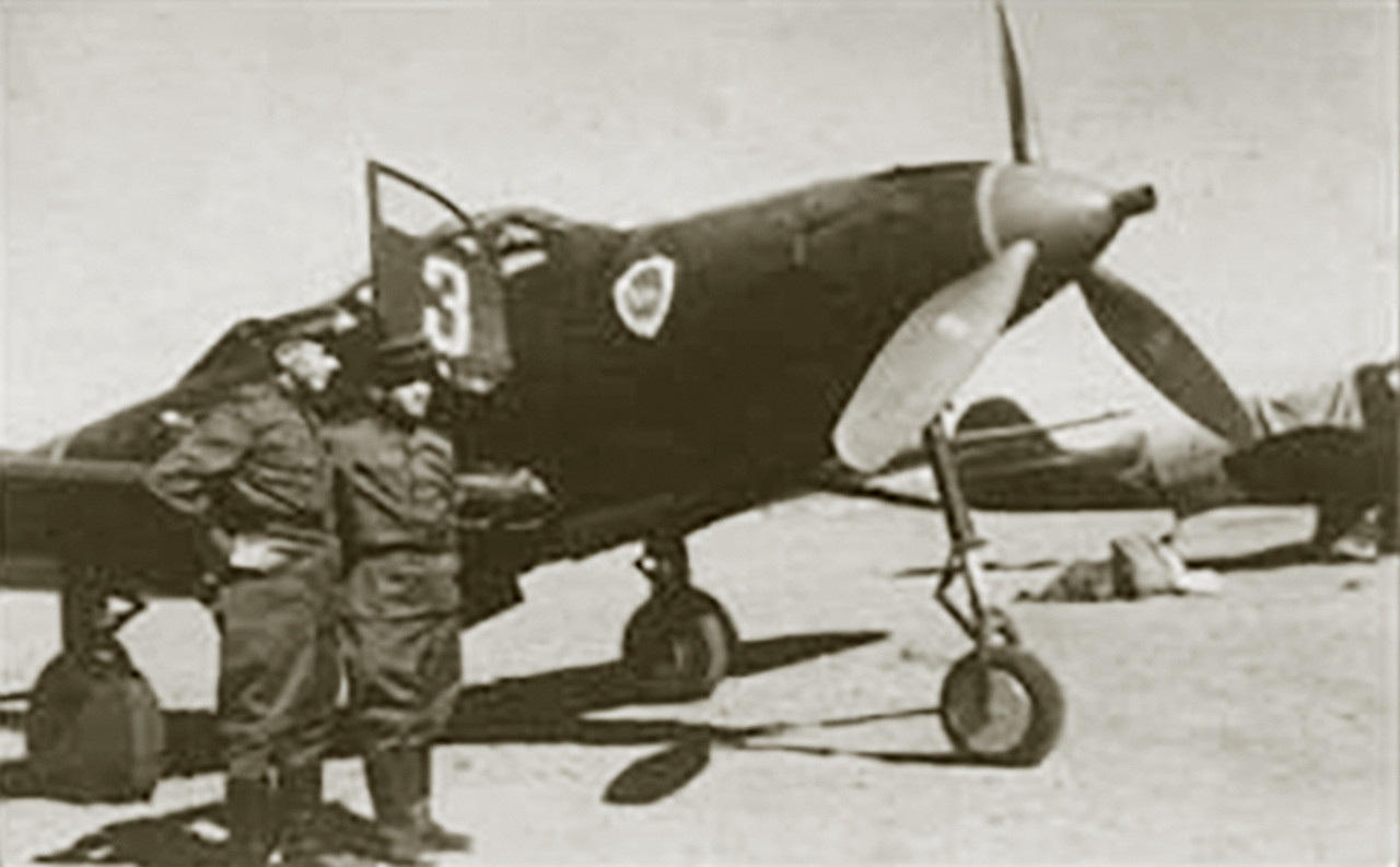 Bell-P-39N-Airacobra-25IAP-White-3-Transcaucasian-Front-1944-01