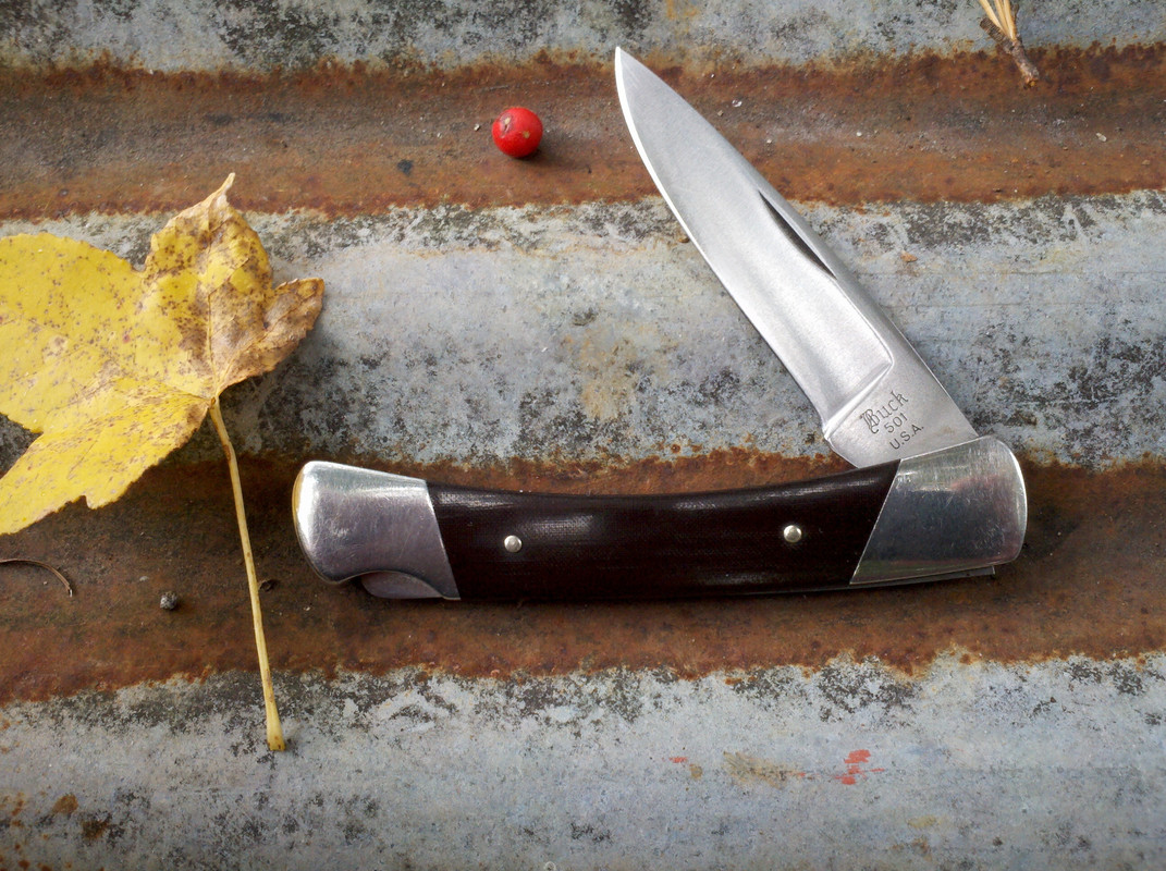 Buck_501_Esquire.jpg