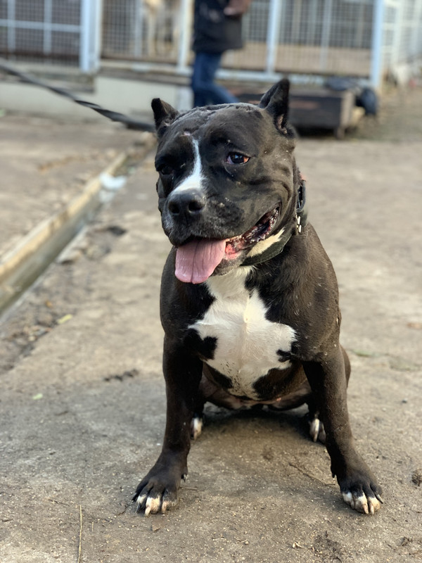 D645BA06-C302-4404-9C63-4051E1D7BA1D