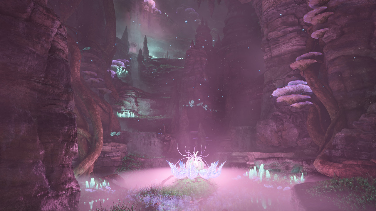 afop 2026 01 10 07 29 41 660