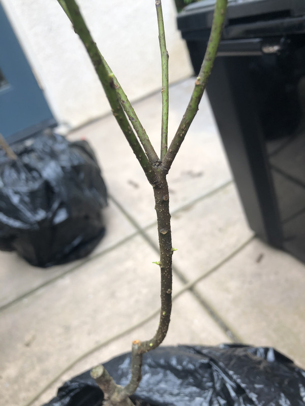 10078DF8-6301-4793-8EF4-F3A029AD85D8