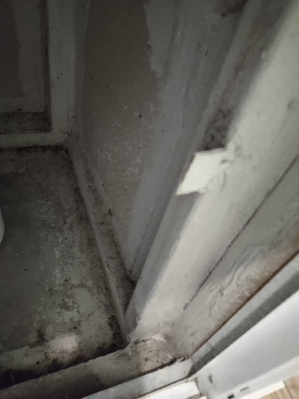 IMG_20220315_235847050