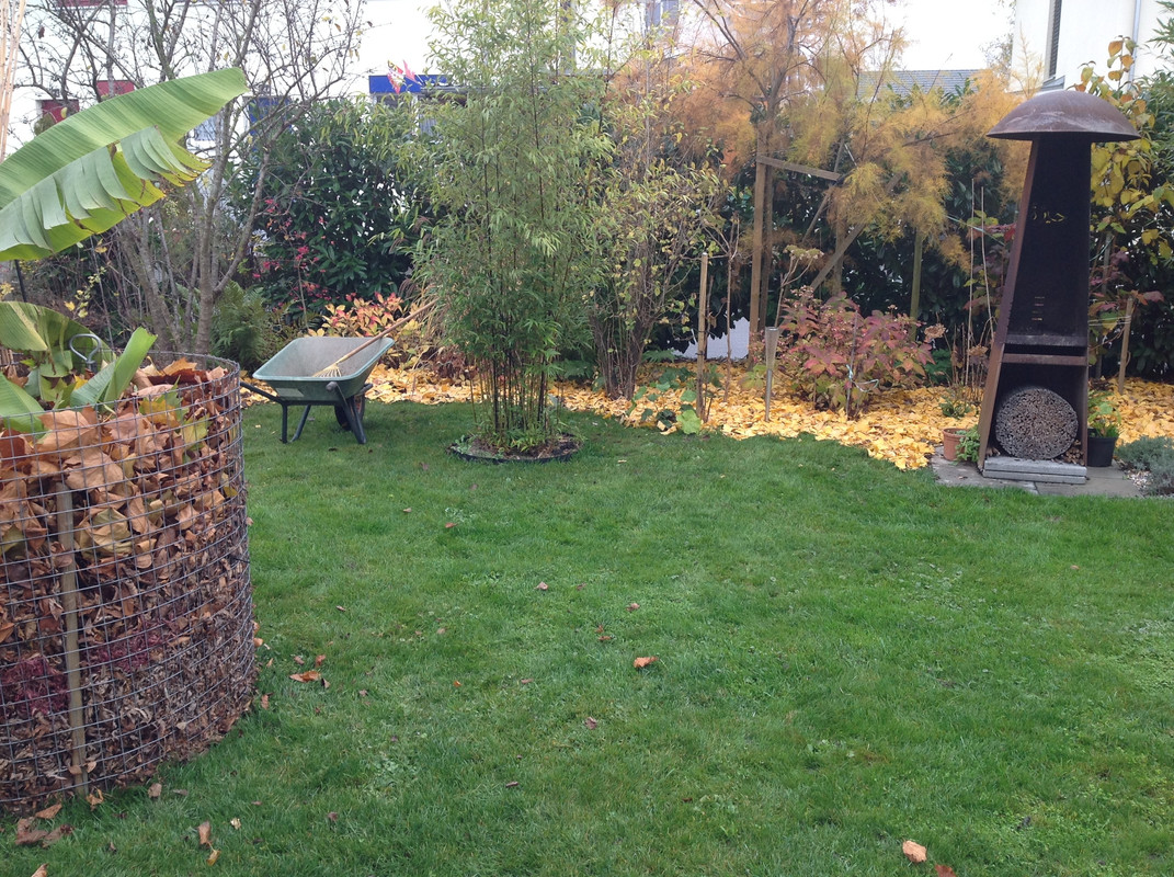 Gynko Laub 11.11 (1)