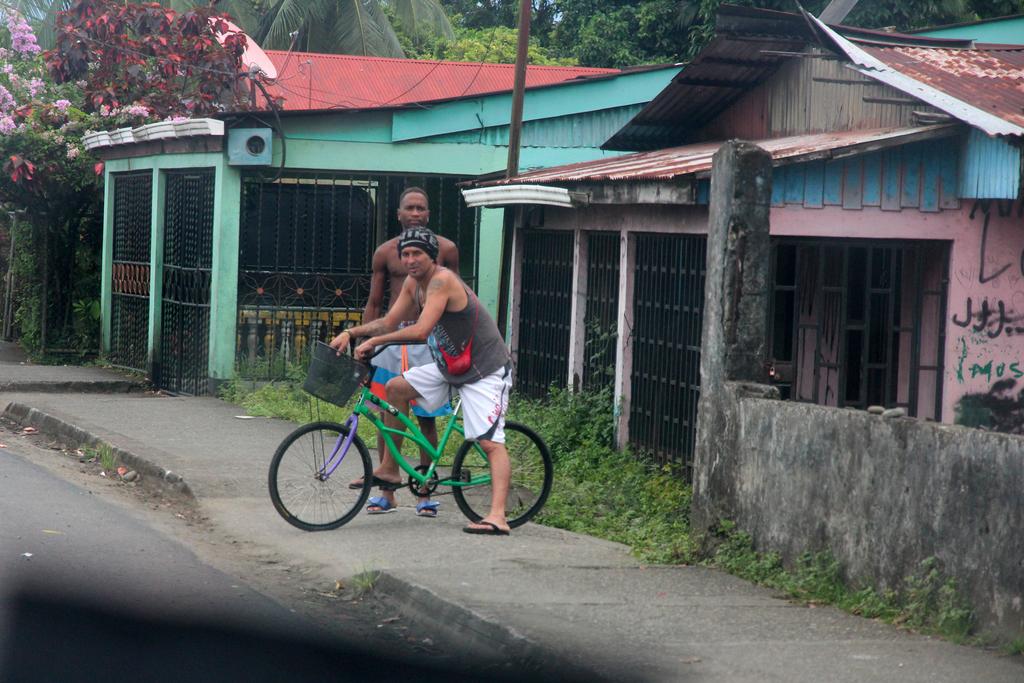 DIA 4: PRIMER DÍA EN PUERTO VIEJO - DE TORTUGAS Y PEREZOSOS. COSTA RICA 2019 (8)