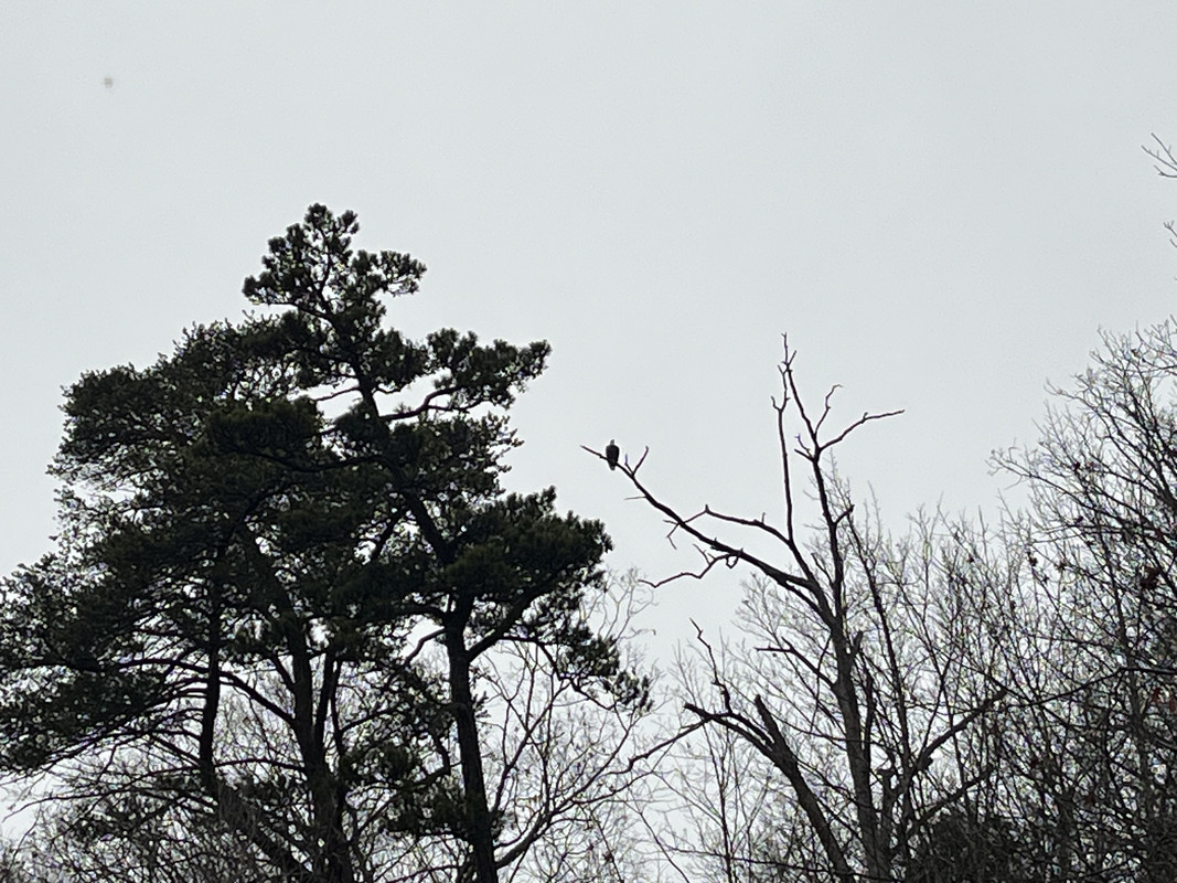 IMG-3955.jpg
