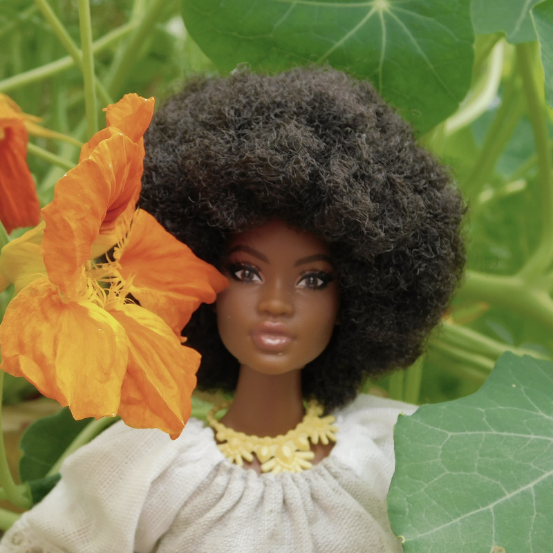 Дачное июль 203 и барби 027