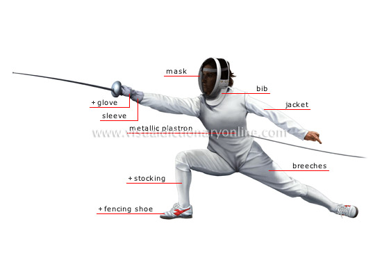 fencer.jpg