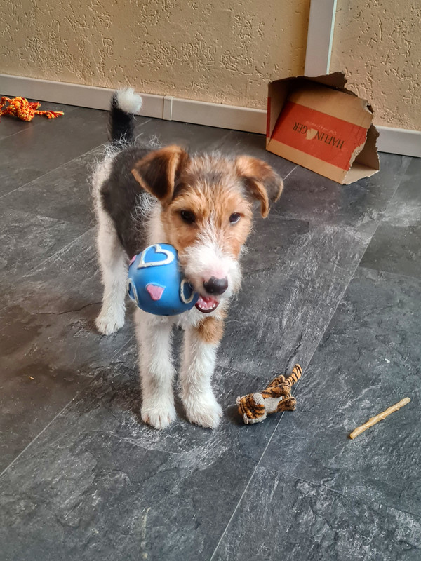 A9805659-007F-4EB6-BACF-B5392CCE4B9A