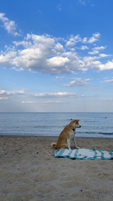 A5696C91-932C-4B52-9C80-B3FE6EAAA18C