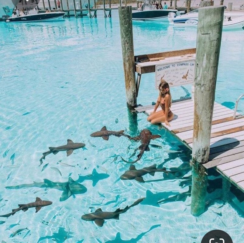 Screenshot_20230514_124248_Pinterest