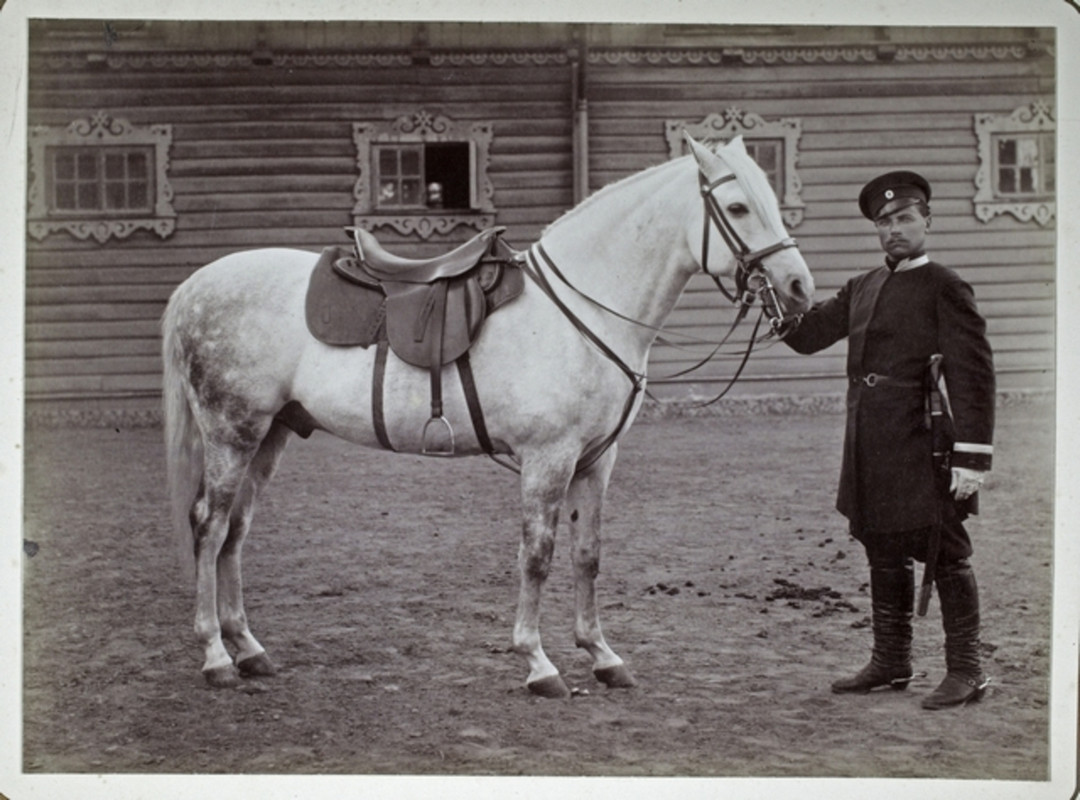 1890 Satuloitu ratsuhevonen sotilaspalvelijan pitelemänä hirsihuvilan pihalla 2-