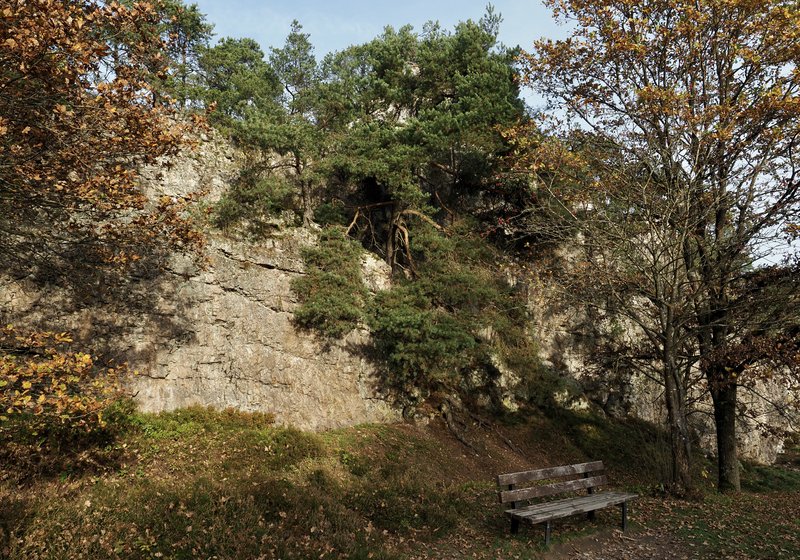 PA290895.jpg
