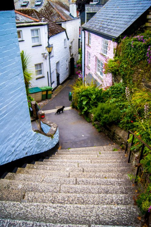 bluefoweycornwall.jpg