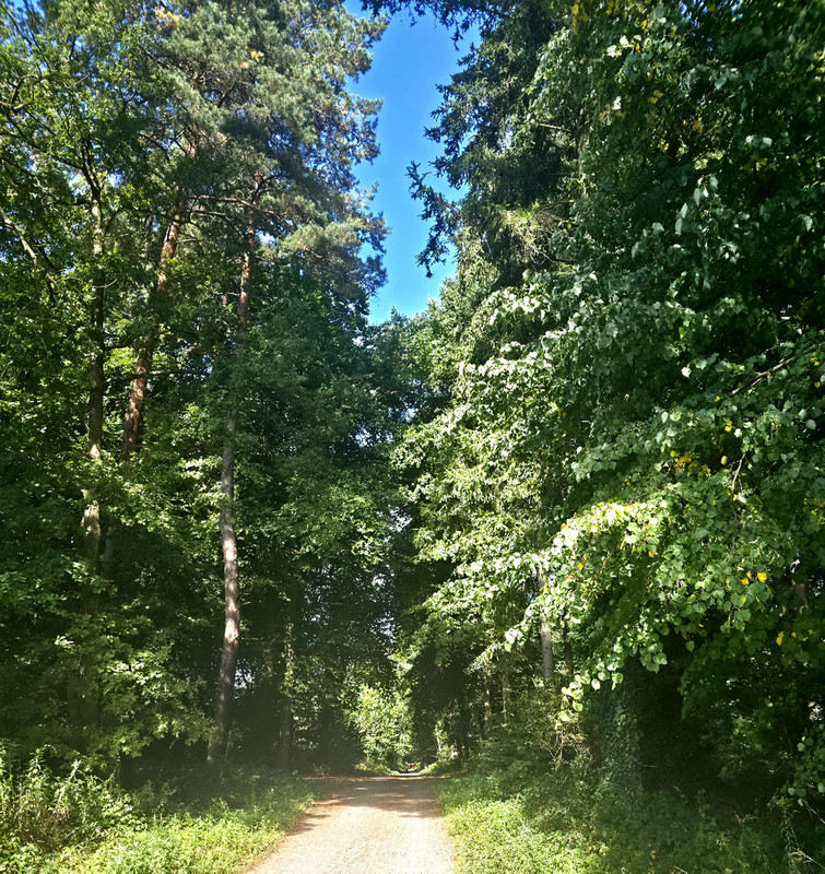 20250829-112247.jpg