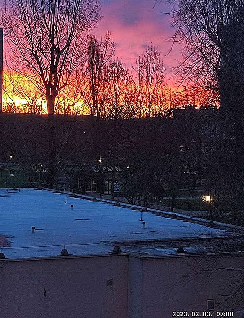 https://i.postimg.cc/wBQ9k5m5/pesten-2023-02-03.jpg