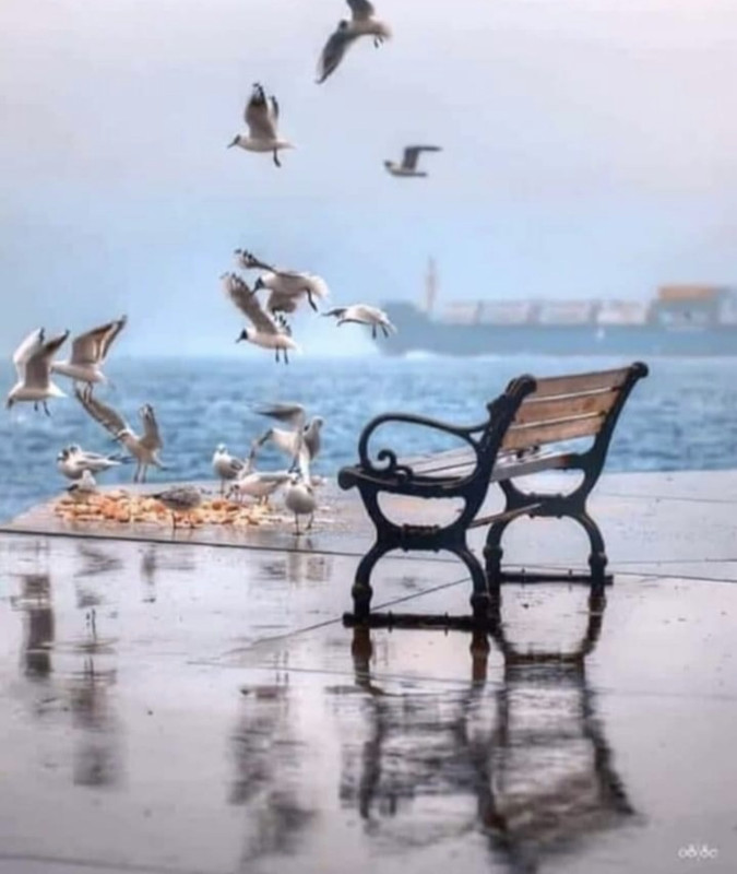 EE53926D-9891-4D08-878B-2AA00A64225F