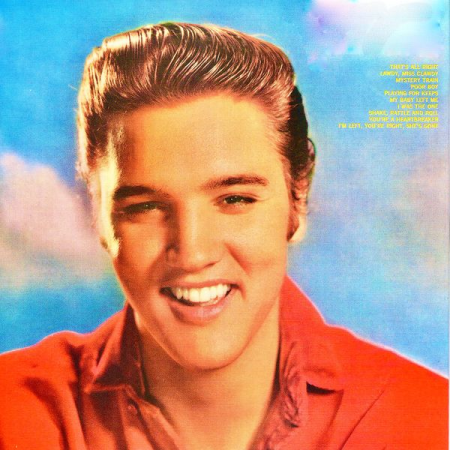 Elvis Presley - For LP Fans Only! (Remastered) (2020) mp3, flac