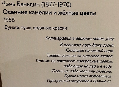 https://i.postimg.cc/wBQGnWxV/2.jpg