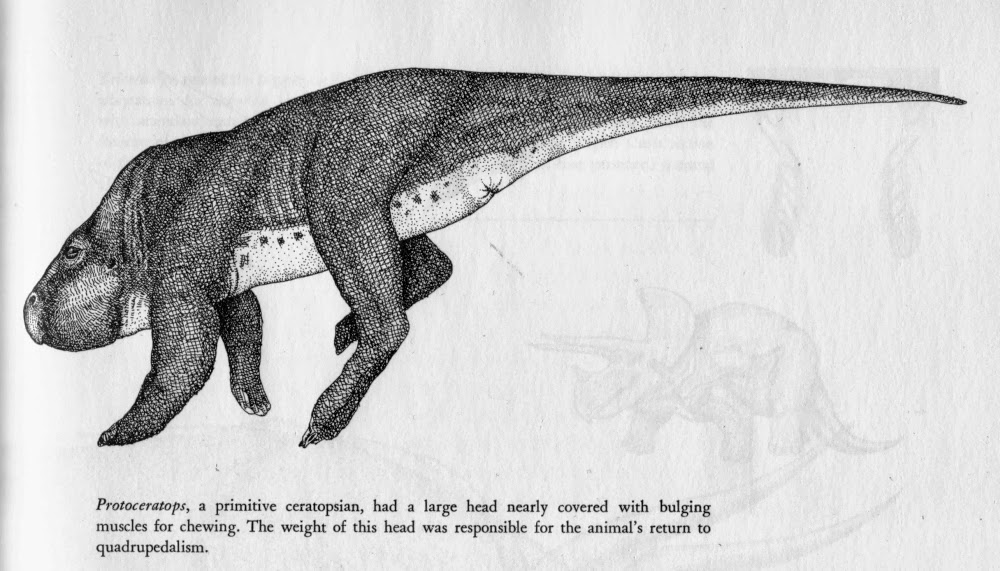 Protoceratops