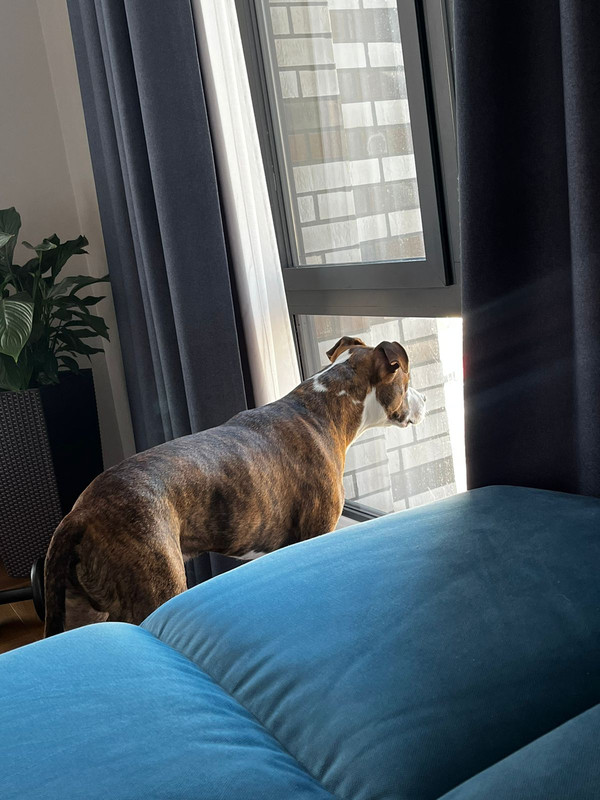 BA49BB9E-762C-45AC-BD84-7F0EFF827C2B