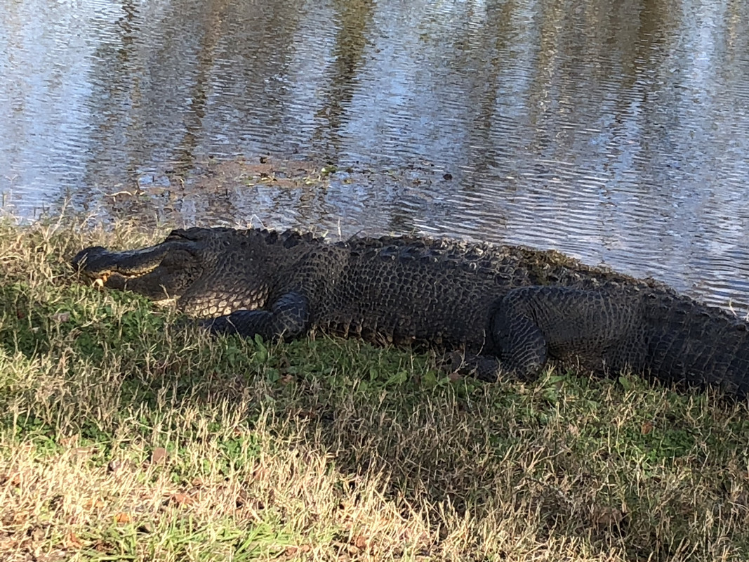 3E6C0E0A-F331-4581-A471-8739C2858FF4