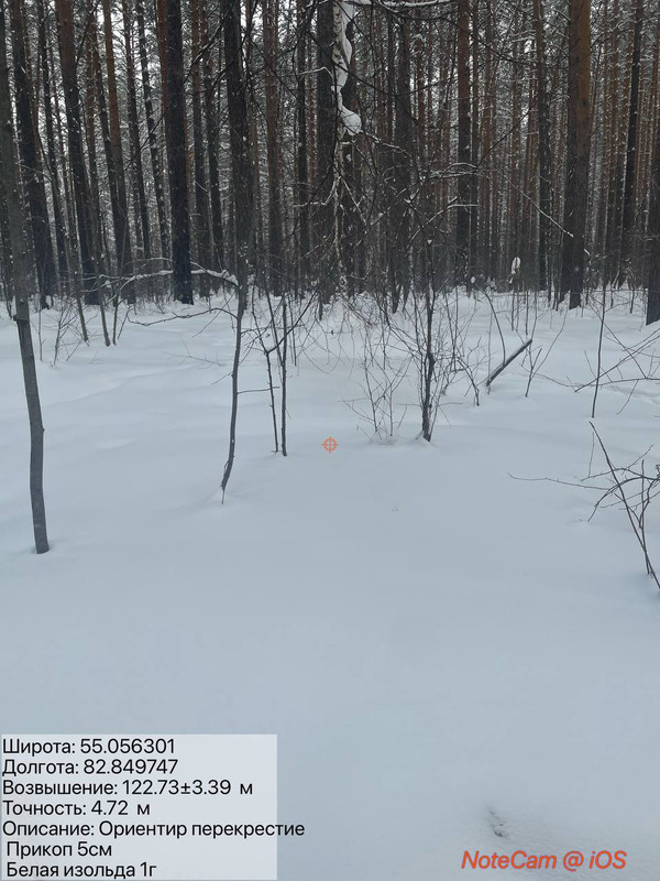 photo 2026 01 24 12 28 32