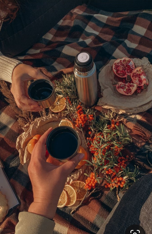 Screenshot_20231127_223651_Pinterest