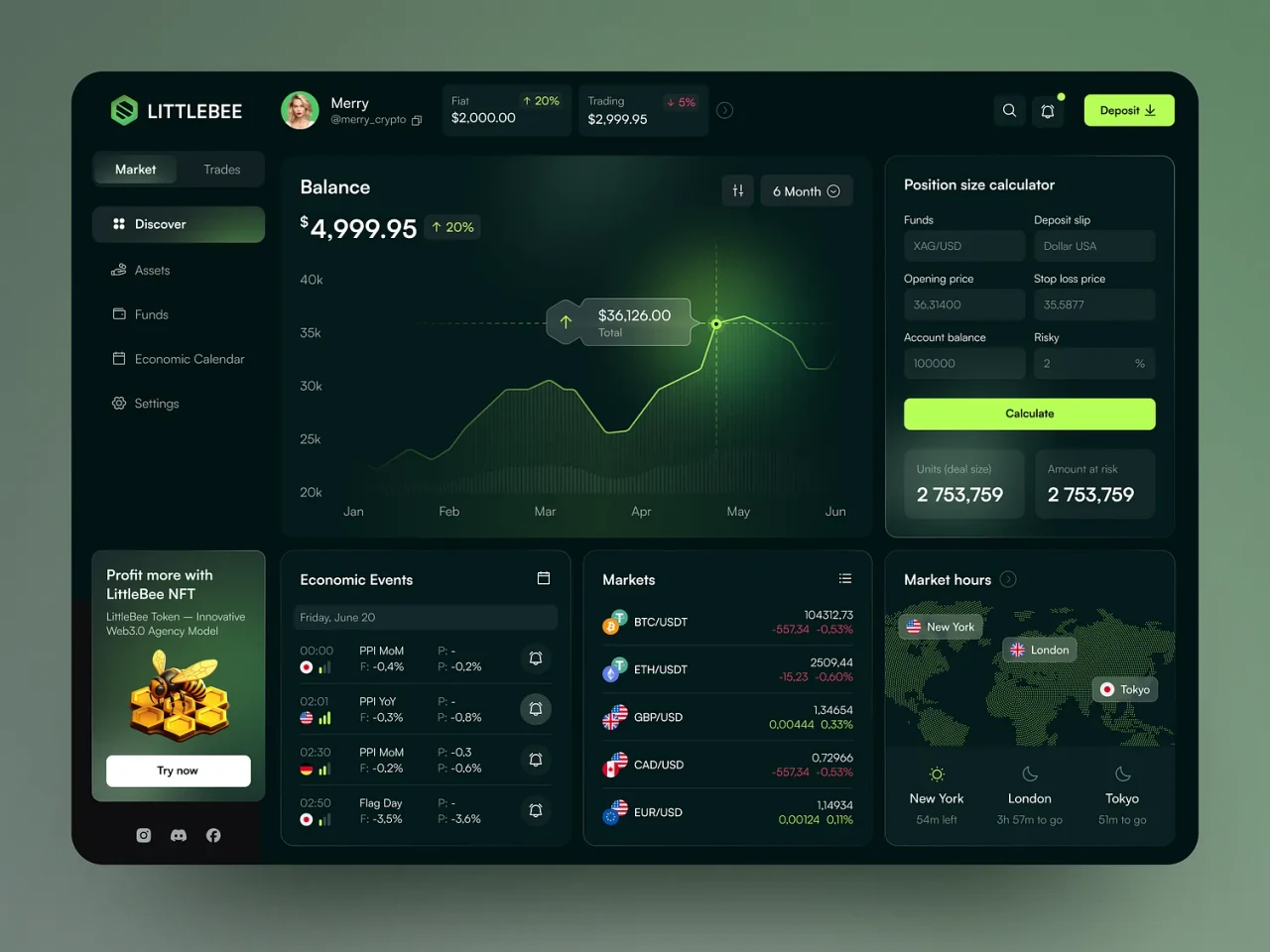 Web App Preview