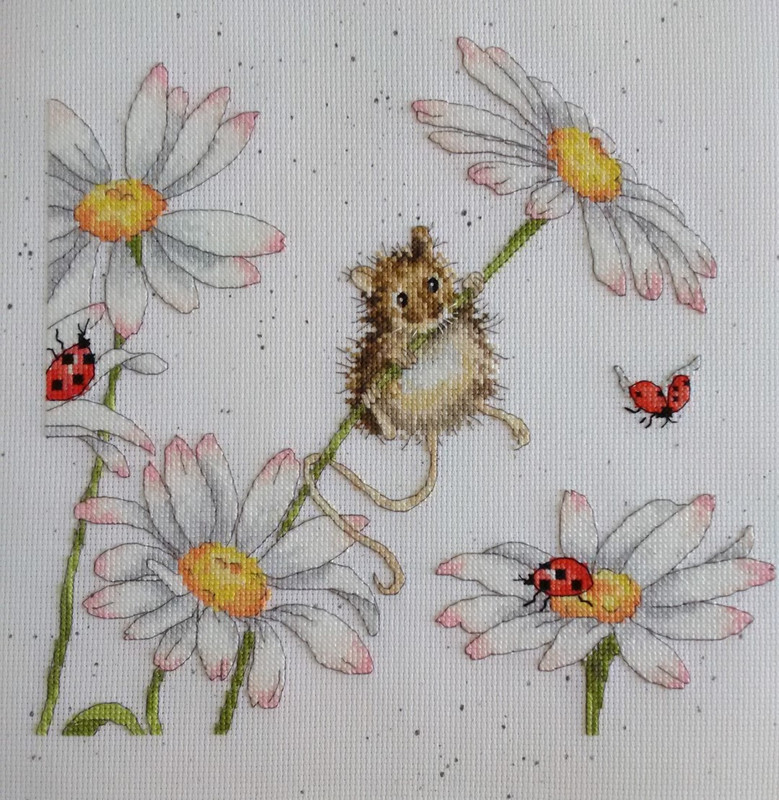 IMG_20210605_132713 (2) (Large)