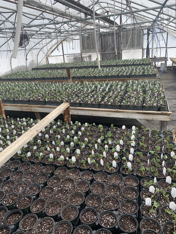 270C09A5-62C4-45A6-80D4-7273F5DD79DD