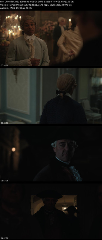 Chevalier-2022-1080p-HS-WEB-DL-DDP5-1-x265-PTer-WEB.jpg