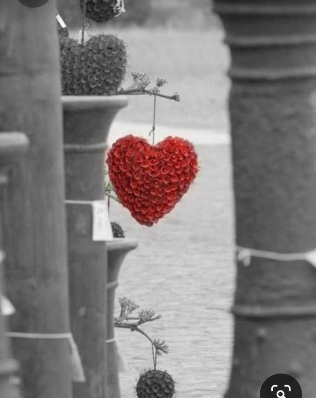 Screenshot_20230418_212014_Pinterest