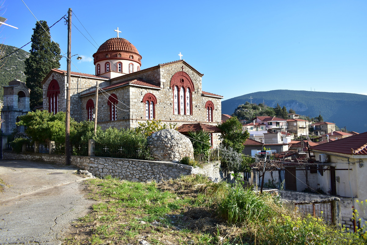 Ελαιώνας (3)