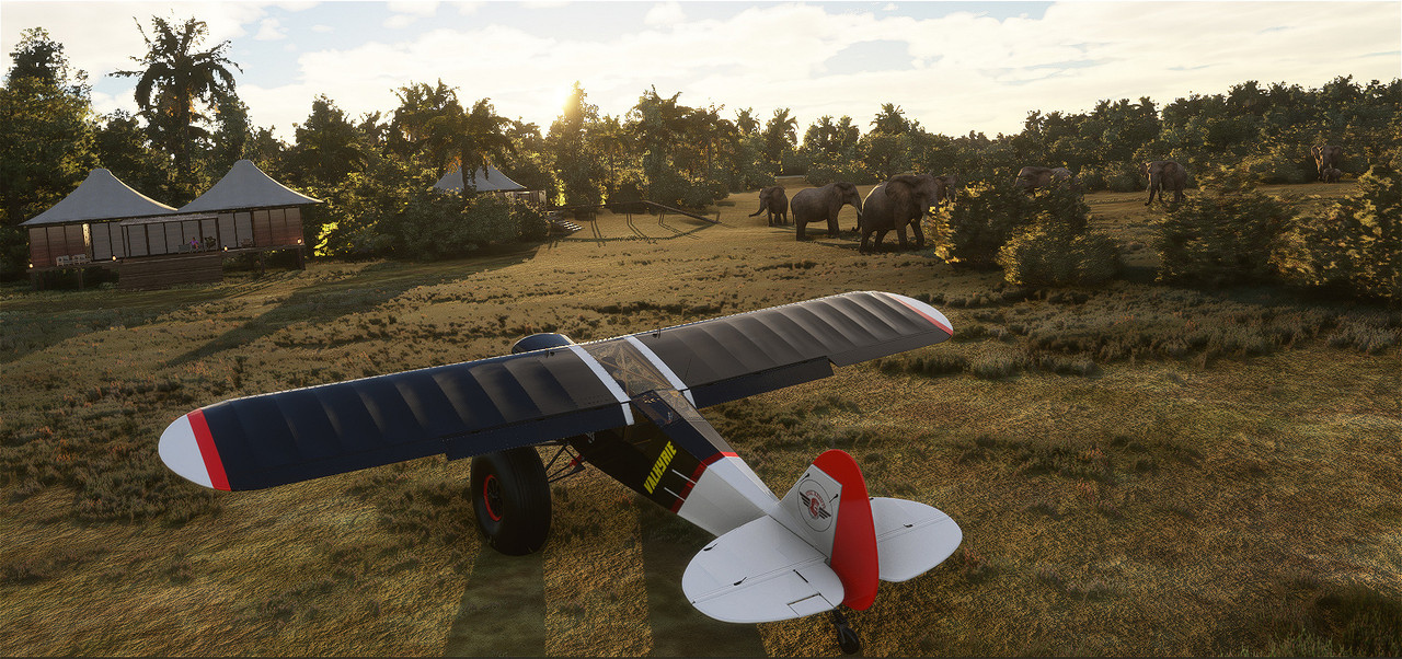 Savage-Cub-7.jpg